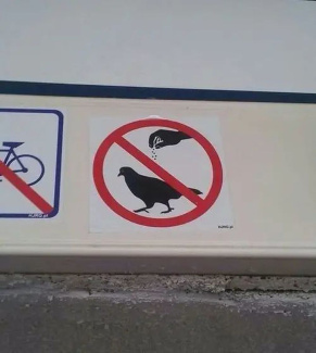 Не кормить голубей