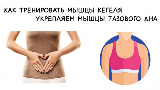 Как тренировать мышцы кегеля девушкам. Укрепляем мышцы тазового дна