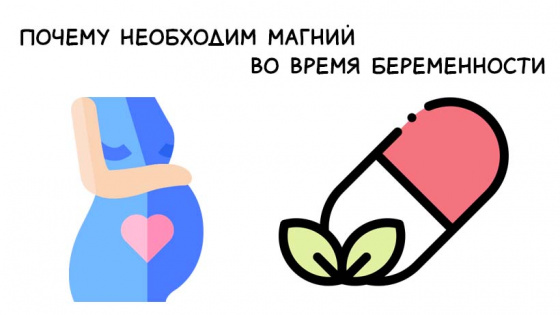 Почему необходим магний