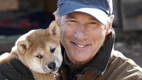 Кадр из фильма про Хатико