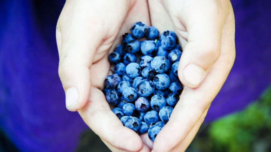 Уход за кожей рук