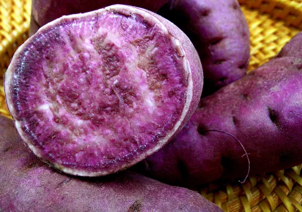Фиолетовый картофель.